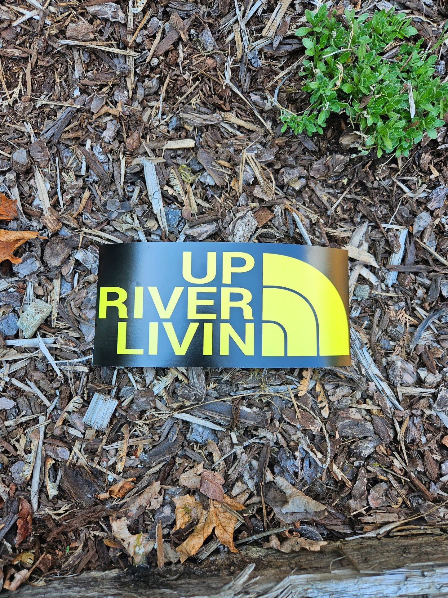 Upriver livin sticker