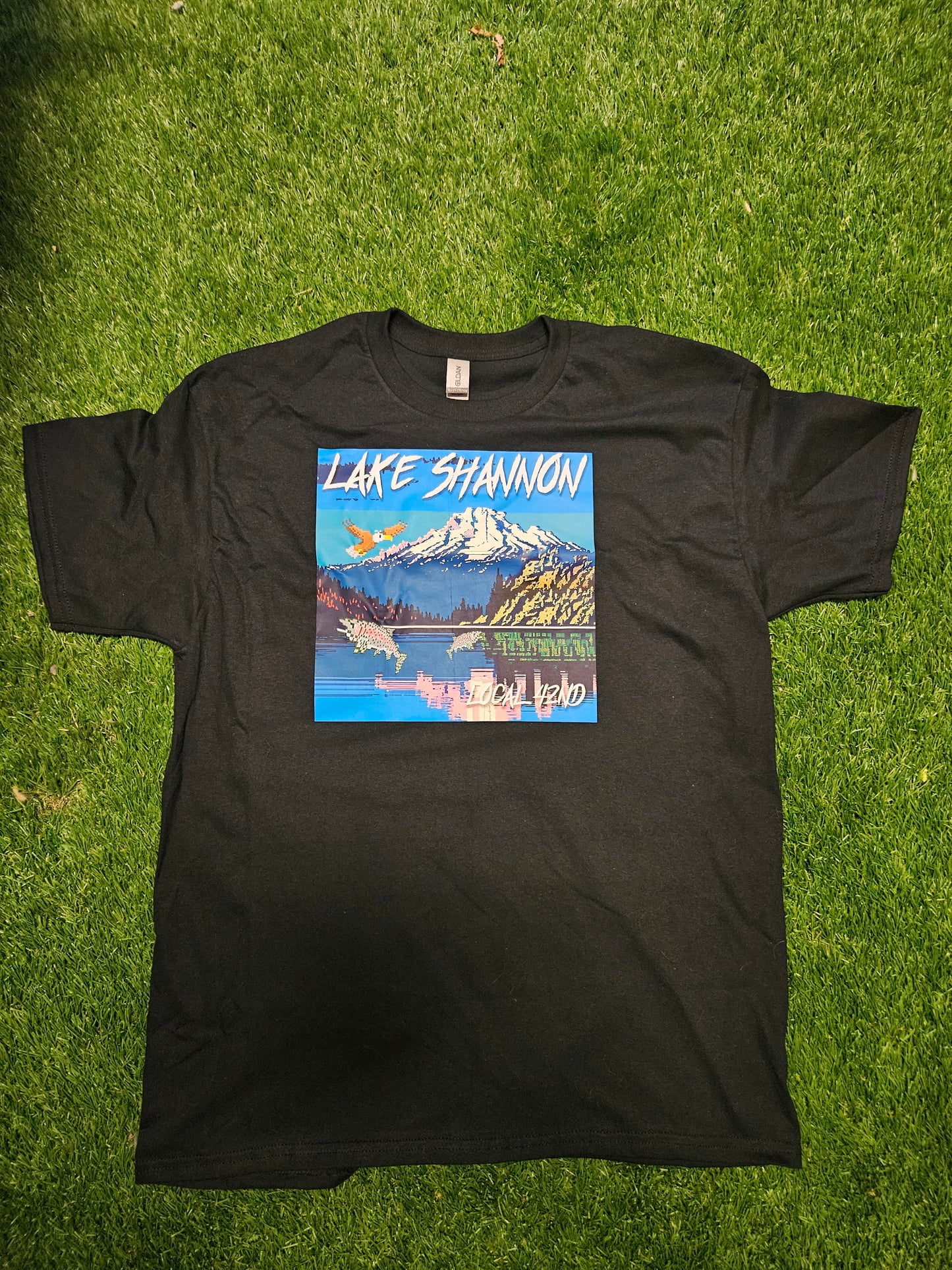 Lake shannon